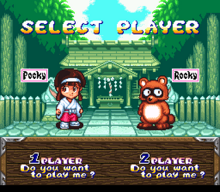 293511-pocky_and_rocky_player_select