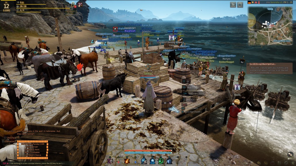 black desert online mmorpg