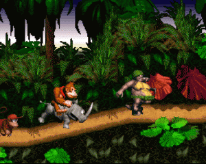 DKC1